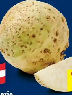 Lidl Bio-Sellerie Angebot