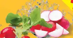 Lidl Radieschen Angebot