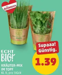 PENNY Kräuter-mix im topf Angebot