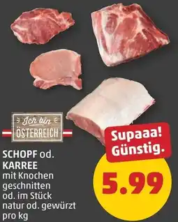 PENNY Schopf od. karree Angebot