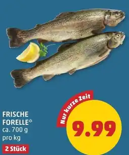 PENNY Frische forelle Angebot