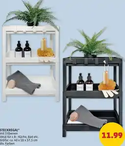 PENNY Steckregal Angebot