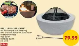 PENNY Grill- und feuerschale Angebot
