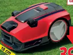 Zgonc Freelexo cam 500 Angebot