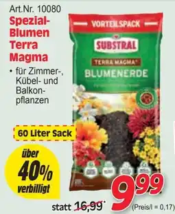 Zgonc Spezial- Blumen Terra Magma Angebot