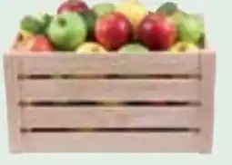 Zgonc Holzkiste mit Steckmontage Angebot