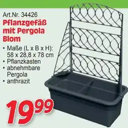 Zgonc Pflanzgefäß mit Pergola Blom Angebot