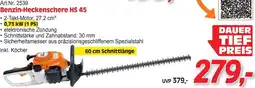Zgonc Art.Nr. 2539 Benzin-Heckenschere HS 45 Angebot