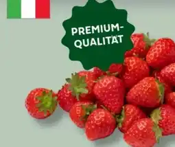 MPreis Erdbeeren Candonga Angebot