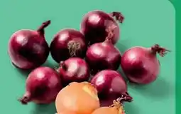 PENNY Ich bin Österreich Zwiebeln Angebot