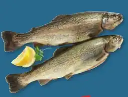 PENNY Forelle Angebot