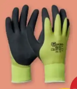 PENNY Winterarbeitshandschuhe Angebot