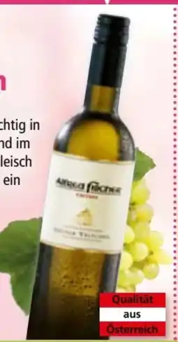 Norma Weingut Fischer Grüner Veltliner Edition Angebot