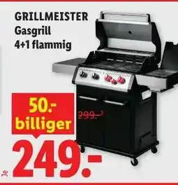 Lidl GRILLMEISTER Angebot