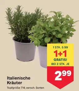 MPreis Italienische Kräuter Angebot