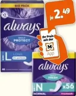 Müller Always slipeinlagen big pack Angebot