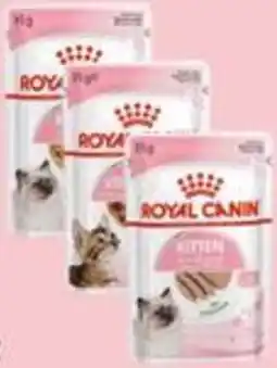 Das Futterhaus Royal canin kitten Angebot
