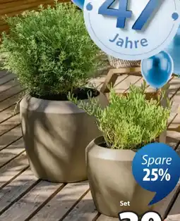 JYSK Pflanzkübel teist Angebot