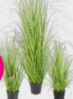 Mömax Grasbündel Patrick Angebot