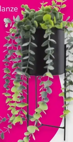 Mömax Kunstpflanze Joni Angebot