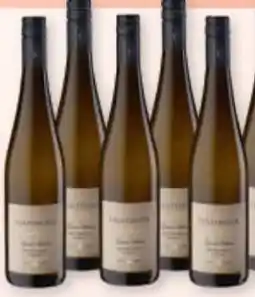 Maximarkt Ernsthofer Grüner Veltliner Ried Kollmütz Angebot
