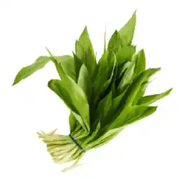 Lidl Bärlauch aus Österreich Lidl APP Preis Angebot