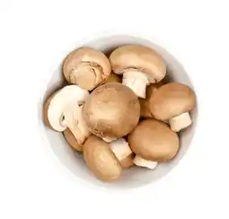 Lidl Champignons braun Lidl Angebot