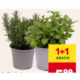 MPreis italienische Kräuter versch. Sorten MPREIS Angebot