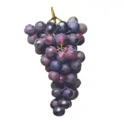 MPreis M Trauben blau MPREIS Angebot