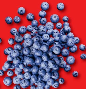 Lidl Heidelbeeren Angebot