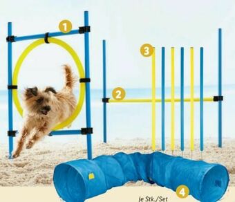 Lidl Hunde Agility-Sortiment Angebot