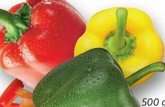 Lidl Paprika Mix Angebot