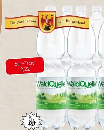 Spar Waldquelle Angebot