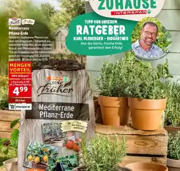 Interspar Mediterrane pflanz-erde Angebot