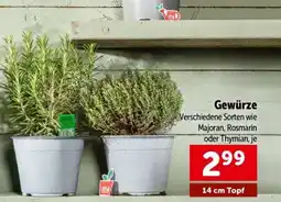 Interspar Gewürze Angebot