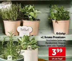 Interspar Kräuter l'aroma premium Angebot