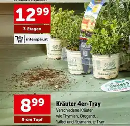 Interspar Kräuter 4er-tray Angebot