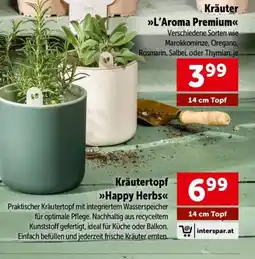 Interspar Kräutertopf happy herb Angebot