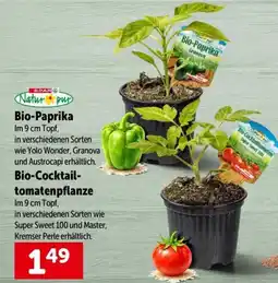 Interspar Bio-paprika Angebot
