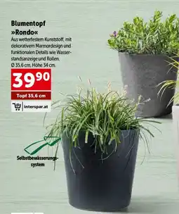 Interspar Blumentopf rondo Angebot