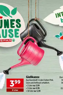Interspar Gießkanne Angebot