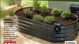 Interspar Hochbeet aus metall Angebot