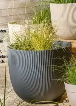 Interspar Pflanzgefäß Sereh Angebot
