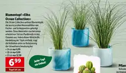 Interspar Blumentopf Elho Ocean Collection Angebot