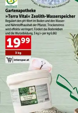 Interspar Gartenapotheke terra vital zeolith-wasserspeicher Angebot