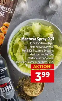 Interspar Mantova spray Angebot