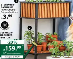 Dehner Balkon- hochbeet boston Angebot