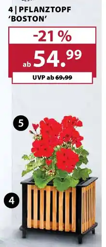 Dehner Pflanztopf boston Angebot