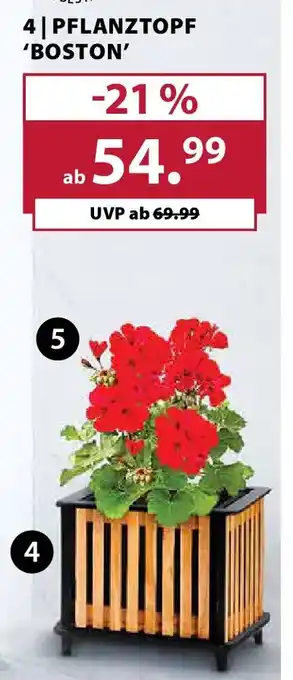 Pflanztopf boston