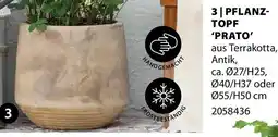 Dehner Pflanztopf prato Angebot
